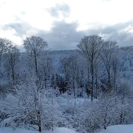 Hotel Clubhotel Hochsauerland